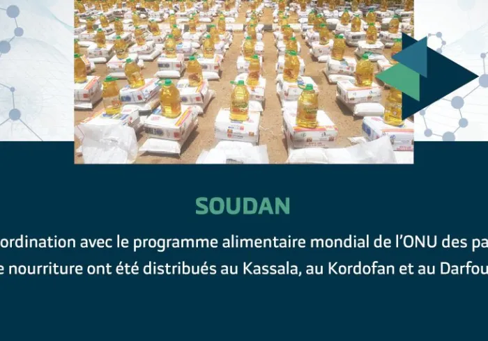 La  LIM a mené au  Soudan, en collaboration avec le ministère de la  Santé, une campagne de sensibilisation au  Covid19 et a distribué du matériel médical et de protection. Des paniers  alimentaires ont été distribués au  Darfour et au  Kassala en liaison avec l' ONU  WFP